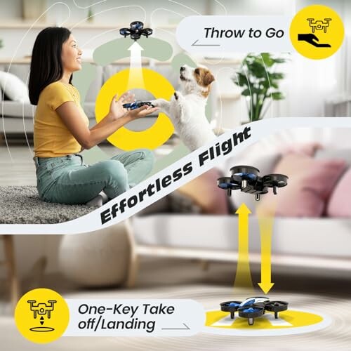 Holy Stone HS210 Mini Drone